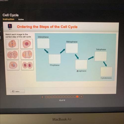 Match each image to the
correct step of the cell cycle.