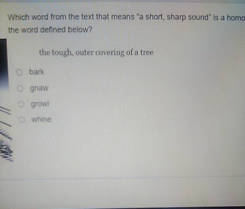which word from the text that means a short sharp sound is a homograph for the word defined below