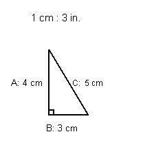 Which proportion could Guina use to find the length of side B?