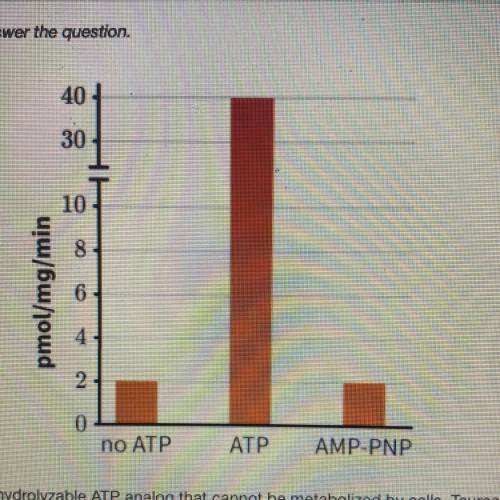 AMP-PNP is a non-hydrolyzable ATP analog that cannot be metabolized by cells. Taurocholate is a bil