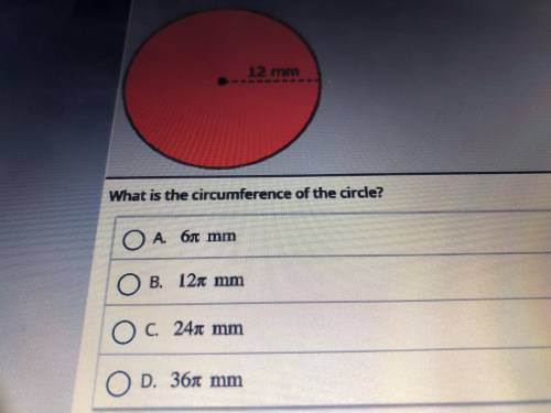 Please help me if you can The circle has a radius of 12mm. What is the circumference of the circle?