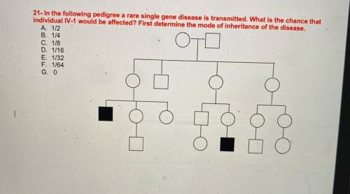 21- In the following pedigree a rare single gene disease is transmitted. What is the chance that