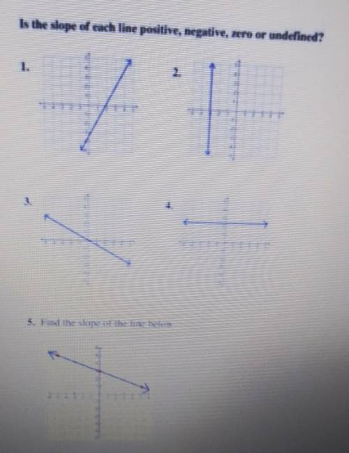 Is the slope of each line positive, negative, zero or undefined?