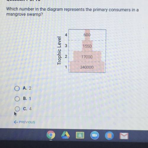 Which number in the diagram represents the primary consumers in a mangrove swamp
1, 2, 3, or 4?
