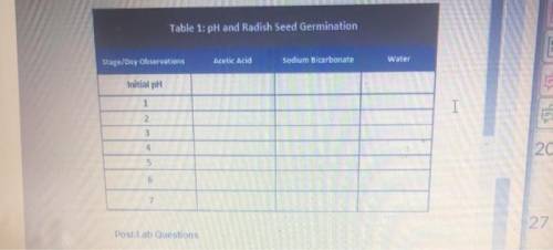 What effect does the pH of water have on radish seed germination?