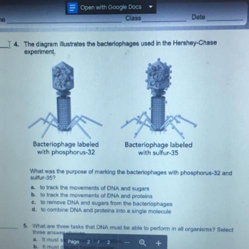 The diagram illustrates the bacteriophages used in the Hershey-Chase

experiment.
Bacteriophage la