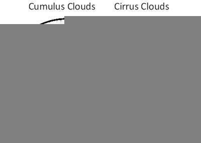 Please help

Teri wants to write a paper comparing cumulus and cirrus clouds. While prewriting, sh