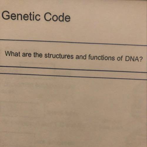 HELP
What are the structures and functions of DNA