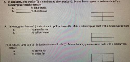 These are the only questions i need. could anyone help?