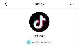 Is it just me or does anyone have Tiktok
