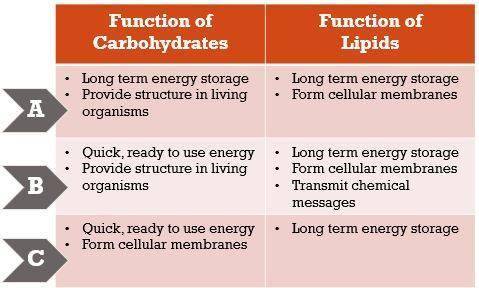 Please Answer Fast

Which choice, in the chart above, is correct about the functions of carbohydra