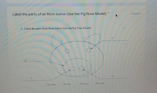 Label the parts of an Atom below (use the pig nose model)
