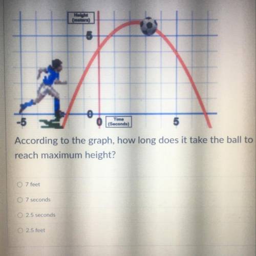 How long does it take for the ball to reach maximum height