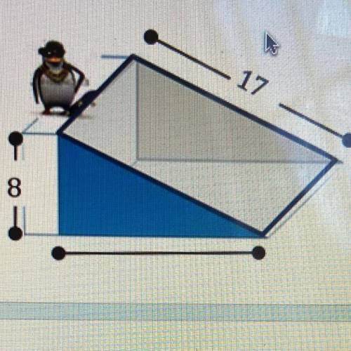 Pete, the skateboarding penguin, practice on a ramp in the shape of a right triangular prism as sho