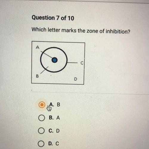 Which letter marks the zone of inhibition?