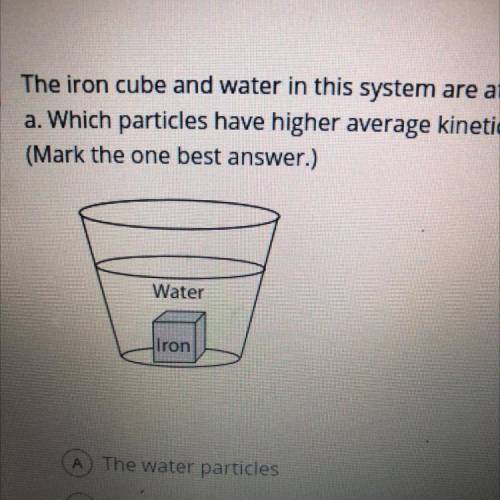 The iron cube and water in this system are at the same temperature.

a. Which particles have highe
