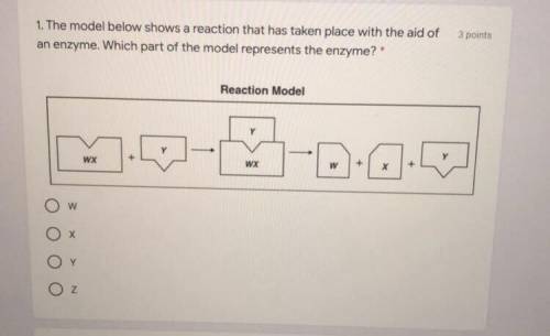 The model below shows a reaction that has taken place with the aid of an enzyme. Which part of the