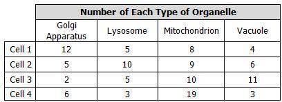 PLZ help!!!

A cell biologist analyzed four different cells that had varying numbers of each type