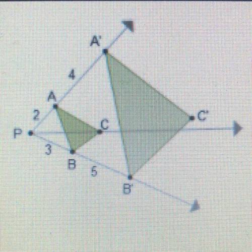 Is triangle A'B'C' a dilation of triangle ABC? Explain.

A. Yes, it is an enlargement with a scale