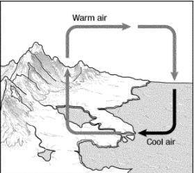 In Figure 15-1, cool air is more dense and forces up ____________________ air.