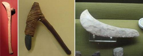 Study these pictures of tools used during the Neolithic Revolution.

What conclusions can be drawn
