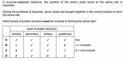 WHICH LEVEL OF PROTEIN STRUCTURE MUST BE INVOLVED IN FORMING THE ACTIVE SITE