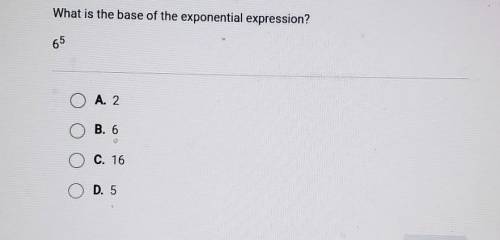 What is the base of the exponential expression?