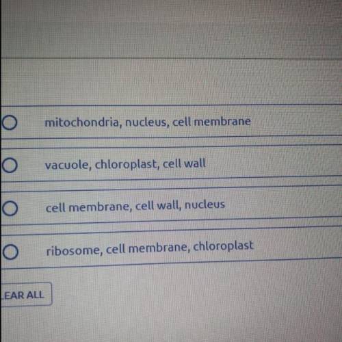 What structures perform similar functions in plant and animal cells?

The answers are above plss h