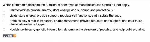 Which statements describe the function of each type of macromolecule? Check all that apply.