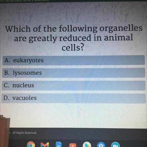 Vf. P.

Which of the following organelles
are greatly reduced in animal
cells?
A. eukaryotes
B. ly