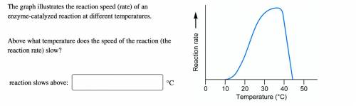 NEED HELP WITH ENZYME HW!!! These two pictures are from one question..

If you know this please an