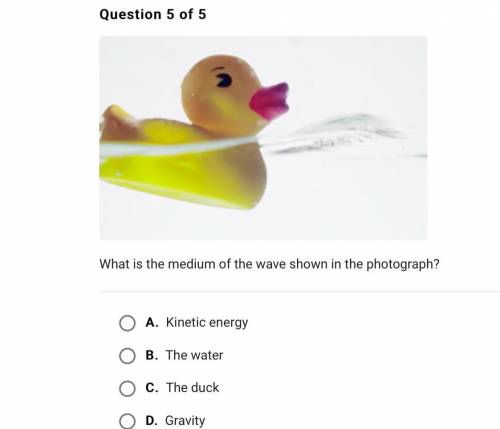 If a rubber duck Is floating In water, what would the medium be?

A. Kinetic Energy
B. The Water
C