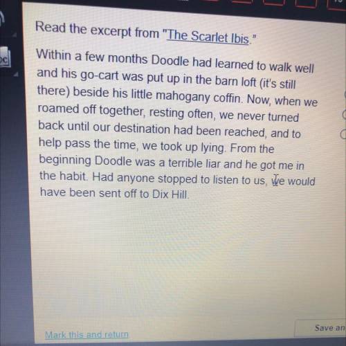 What does this passage foreshadow?

A.the journey the boys take
B.Doodle's eventual death
C. the t