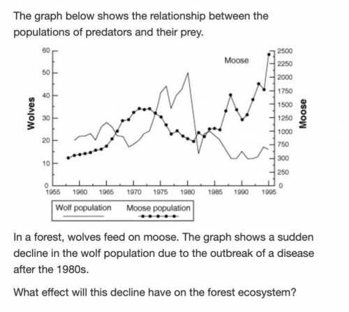 In a forest, wolves feed on moose. The graph shows a sudden decline in the wolf population due to t