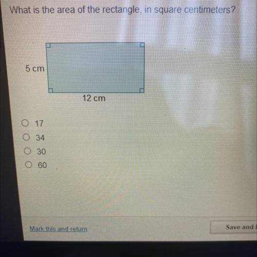 What is the area of the rectangle, in square centimeters. I AM TIMED
