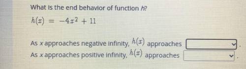 What is the end behavior of function h?