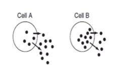 Which cell(s) must use ATP energy to move the molecules out of the cell? (Hint: When using energy b
