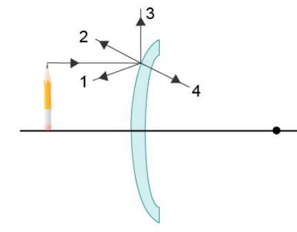 The diagram below shows a light ray from a pencil hitting a mirror.

Which ray shows the correct d