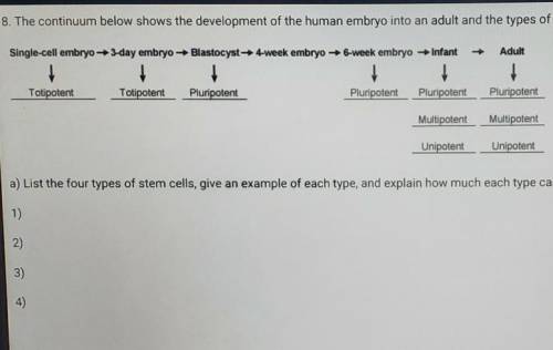 Helppp me :(

The continuum below shows the development of the human embryo into an adult and the
