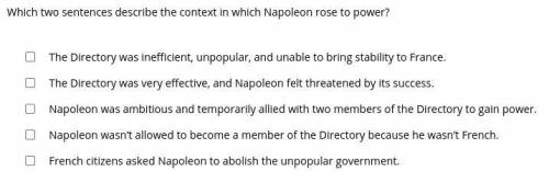 Which two sentences describe the context in which Napoleon rose to power?