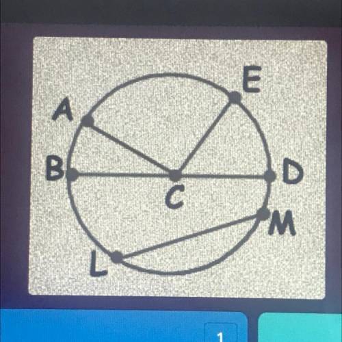 What segment is the diameter