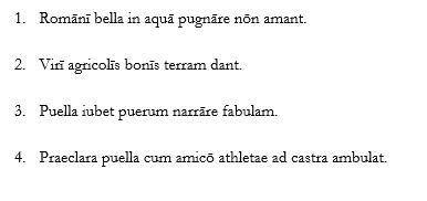 Can you translate these sentences for me, they are in latin.
