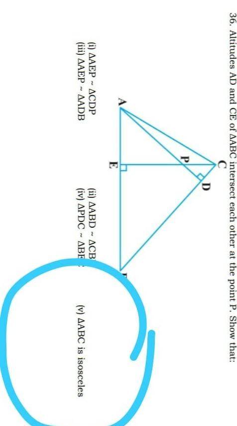 Pls help i am stuck with only the isosceles part

 
if you cannot see because of the blue circle it