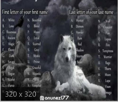 Who can find there wolf name in this pic: