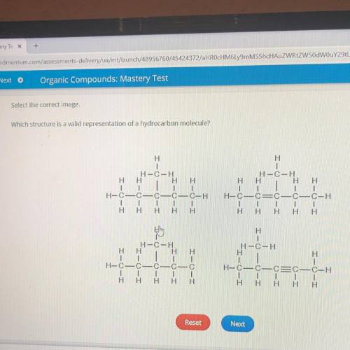 Which structure is a valid representation of a hydrocarbon molecule?