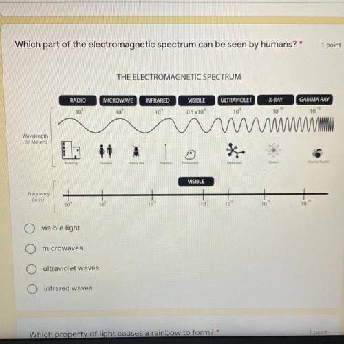 Which part of the electromagnetic spectrum can be seen by humans