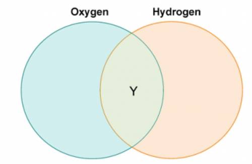 Carla drew a diagram to compare the roles of oxygen and hydrogen in photosynthesis.

Which label b