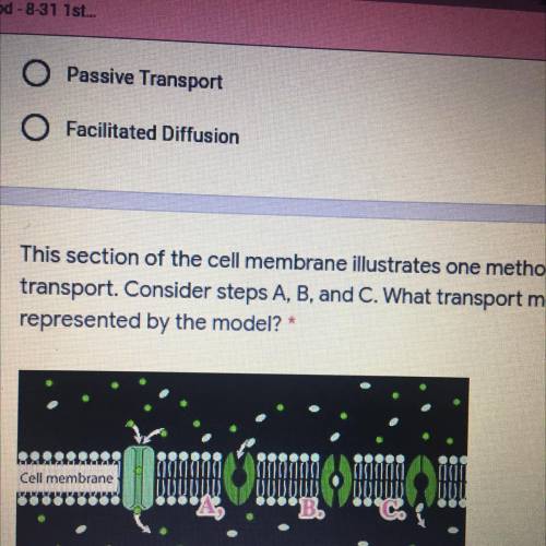 This section of the cell membrane illustrates one method of cellular

transport. Consider steps A,