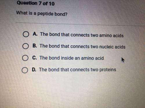 PLEASE HELP! :(
What is peptide bond?
