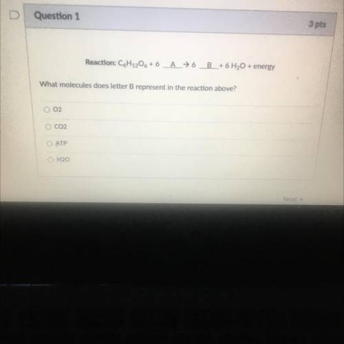 Pls help me , if I get this right I get a A